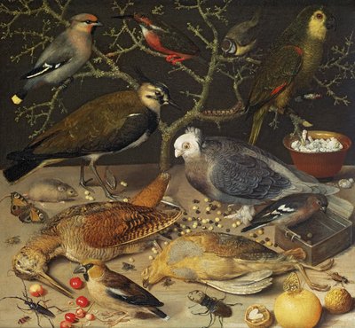 Still Life of Birds and Insects by Georg Flegel